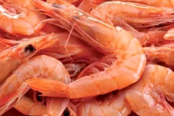 gambas-cozidas